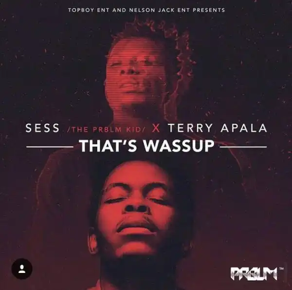 Sess - Thats Wassup Ft. Terry Apala
